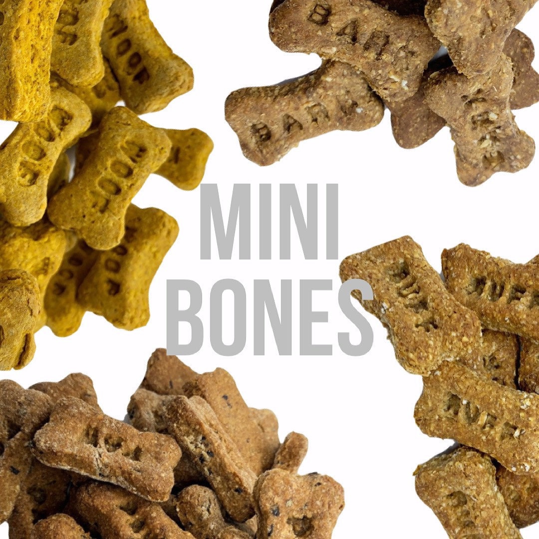 Flavoured mini dog bone treats Etsy