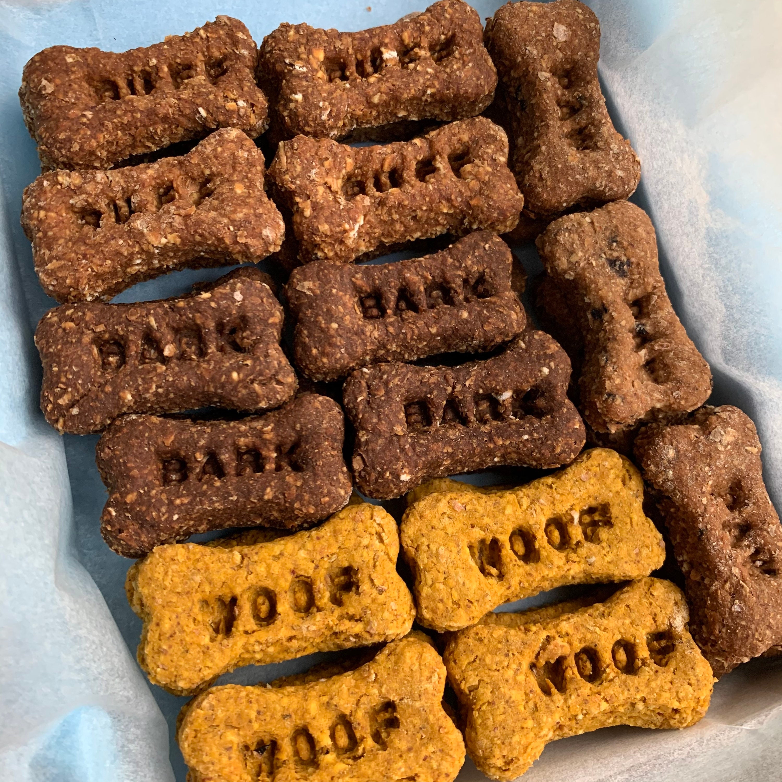Flavoured mini dog bone treats Etsy
