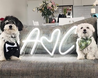 Custom Initials Heart Neon Wedding Sign | Name Initials Heart Neon Light | Last Name Sign | Wedding Neon Sign | Personalized Wedding Gift