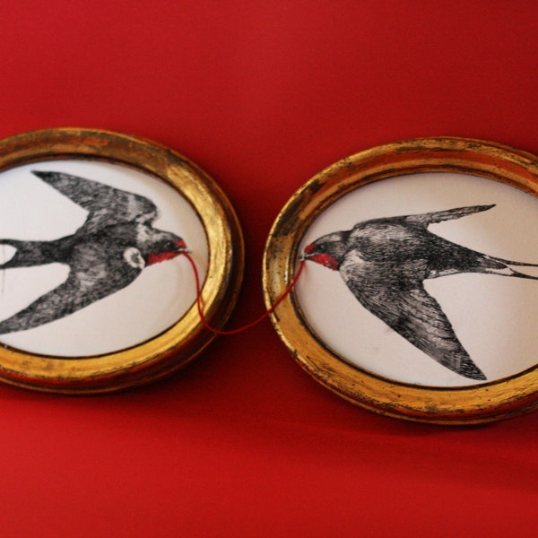 Swallows