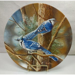 Puede incluir: Un plato de cerámica decorativo con una pintura de dos arrendajos azules posados en ramas en un entorno boscoso. El plato tiene un fondo marrón con agujas de pino verdes y un tronco de árbol marrón. La firma del artista, "Kevin Daniel", es visible en la esquina inferior derecha.