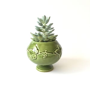 May include: A green ceramic planter with an ivy design and a pedestal base. A succulent plant is growing in the planter.