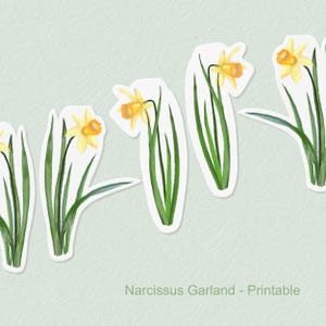 Può includere: Illustrazione ad acquerello di una ghirlanda di narcisi. L'immagine presenta diversi fiori di narciso ritagliati con petali gialli e centri arancioni, steli e foglie verdi, su uno sfondo verde chiaro. Il testo in basso recita "Narcissus Garland - Printable."