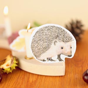 May include: A watercolor illustration of a hedgehog with gray and brown quills. The hedgehog is on a wooden candle holder with two lit candles. The background includes a pine cone and chestnuts.