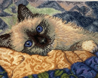 Ragdoll kitten completed counted cross stitch picture