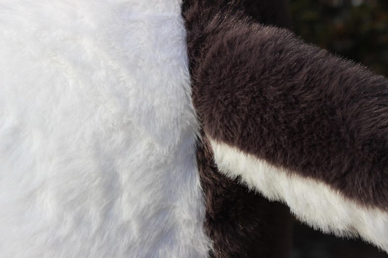 May include: A close-up view of plush fabric featuring a distinct color-blocked design. The material consists of a large section of soft, white faux fur adjacent to a section of dark brown faux fur that features a white trim along the edge.
