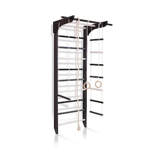 May include: A wooden climbing frame with a dark brown finish, featuring a ladder, rings, and a rope. The frame includes alternating black and white rungs, and a rope ladder with wooden rungs. The rings are made of wood.