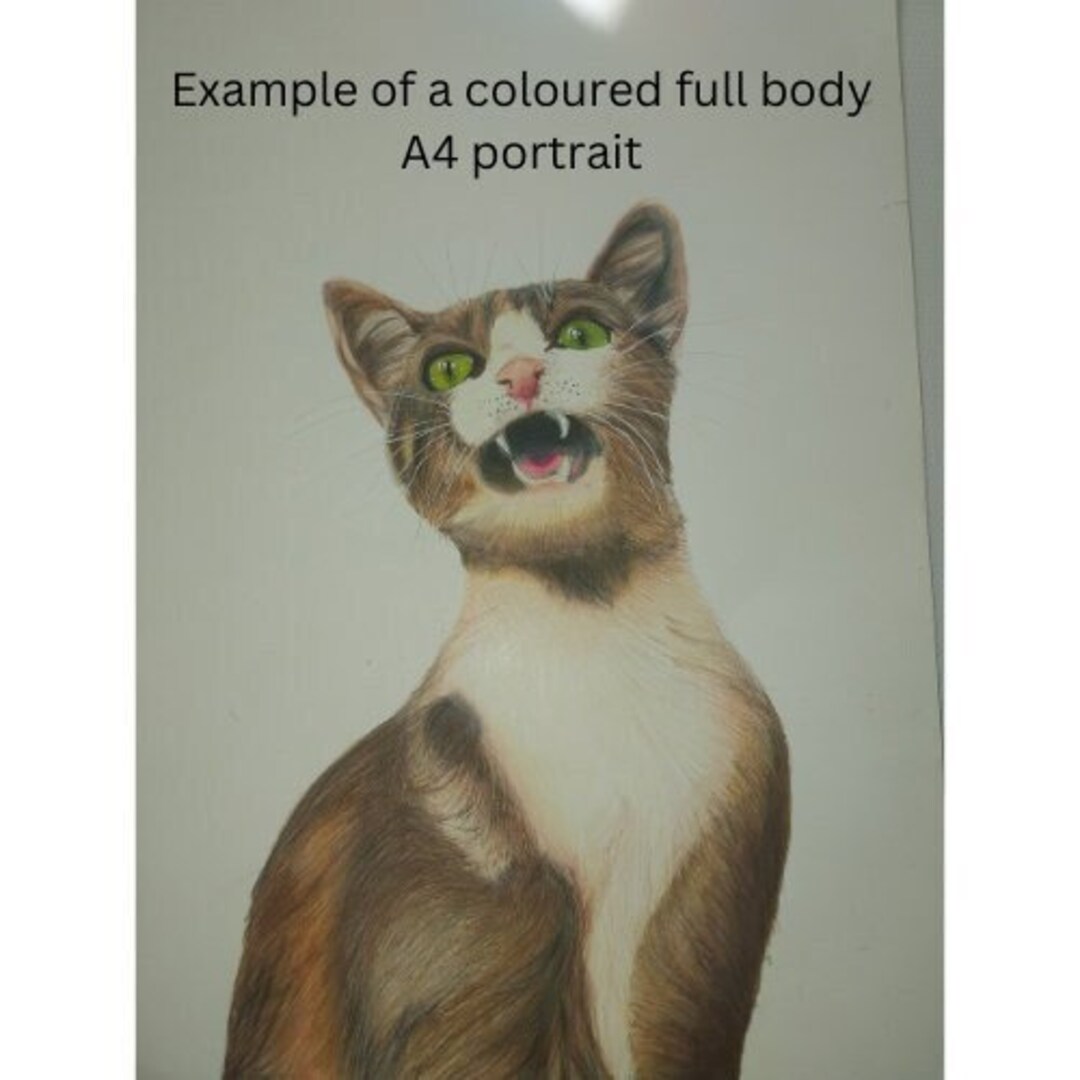 A4 Coloured Pencil Pet Portrait Etsy