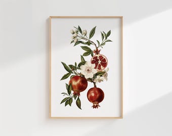 May include: A framed botanical print featuring a detailed illustration of pomegranates, blossoms, and leaves. The pomegranates are a deep red, with one cut open to reveal the seeds. The print is set against a white background.