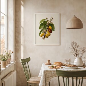 May include: A framed botanical print featuring a detailed illustration of a cacao branch with green leaves, yellow and brown pods, and delicate white flowers. The print is displayed in a bright, airy dining room setting with a green chair and a table set for a meal.