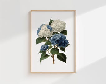 Vintage Hydrangea Botanical Print: Blue & White Flower Illustration (Digital Download)