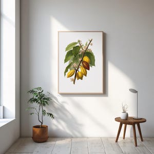 May include: A framed botanical print featuring a detailed illustration of a cacao plant branch. The artwork showcases green leaves, yellow and brown cacao pods, and delicate white flowers. The print is displayed on a white wall, adding a touch of nature-inspired decor.
