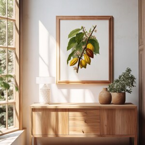May include: A framed botanical print of a cacao branch with green leaves and yellow and brown pods. The print is displayed on a wooden cabinet with a lamp and potted plants. The room has a window with natural light.