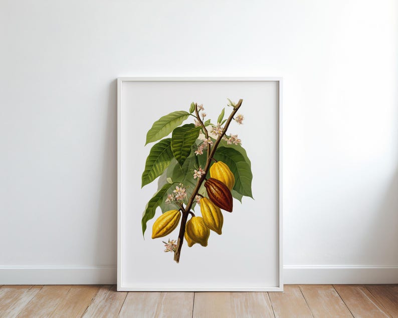 May include: A framed botanical print featuring a detailed illustration of a cacao plant branch. The print showcases green leaves, small white flowers, and yellow and brown cacao pods. The artwork is set against a white background.