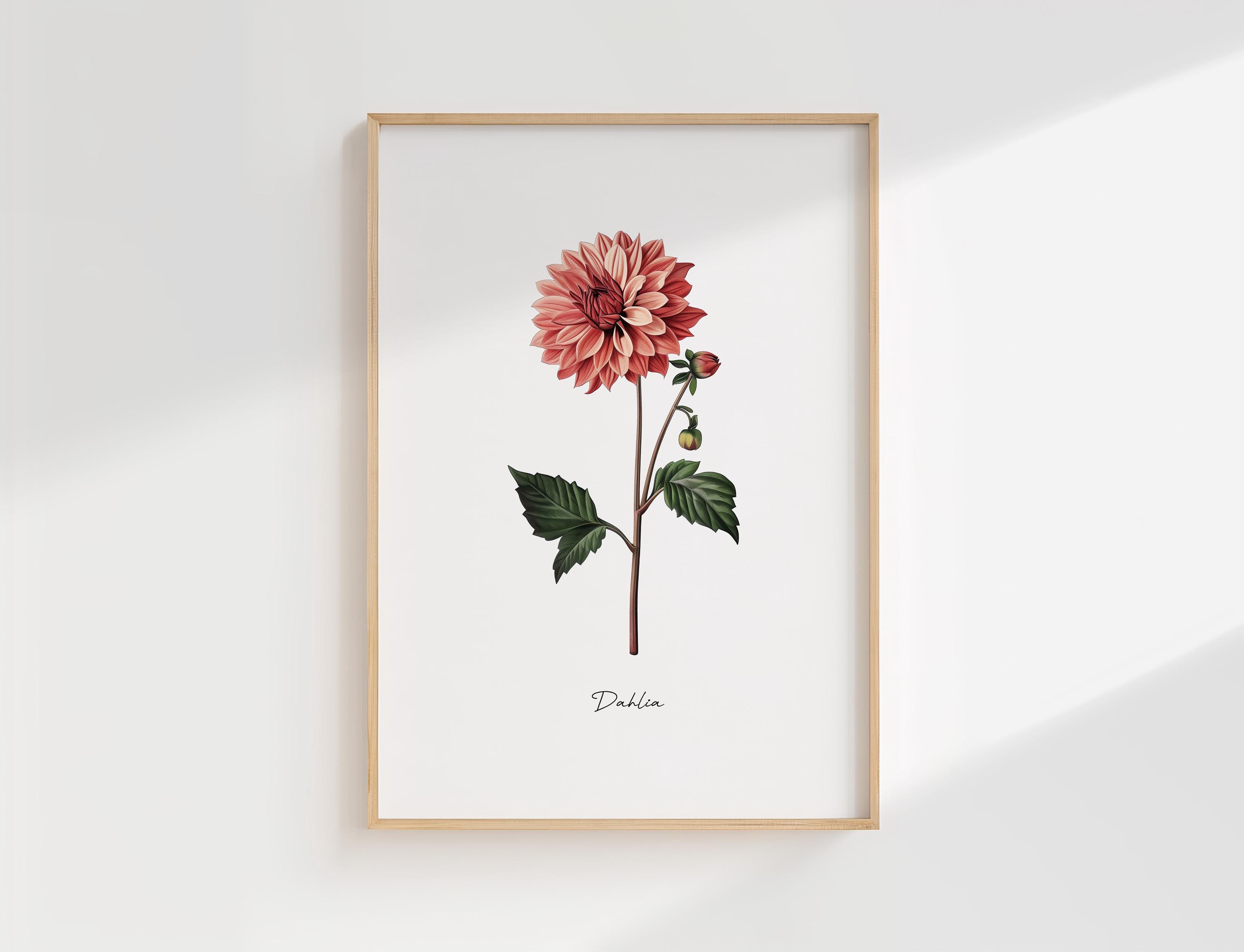 カフェオレダリア - Etsy 日本
