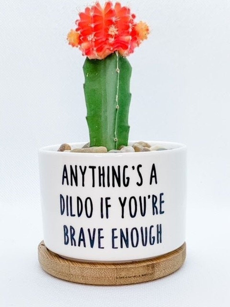 Anything's A Dildo If Youre Brave Enough Quote Anything's a Dildo If You're Brave Enough Succulent | Etsy