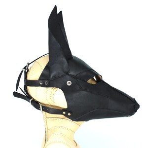 May include: Black leather dog mask with a pointed snout and ears. The mask has a strap that goes around the head and buckles at the back.