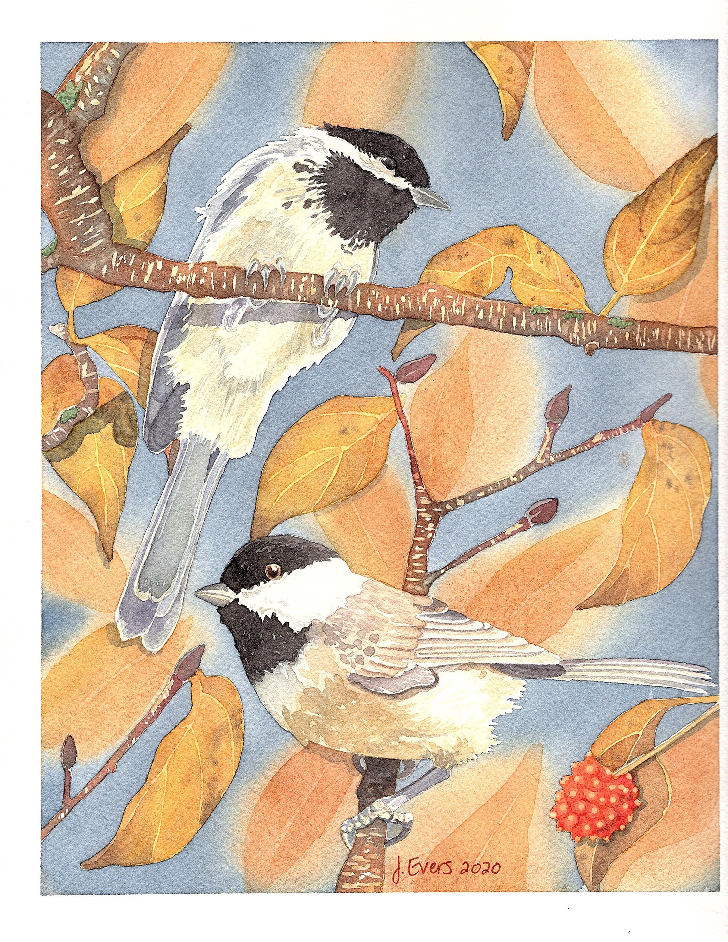 Limited PRINT 8x10 Chickadees on dogwood tree Etsy