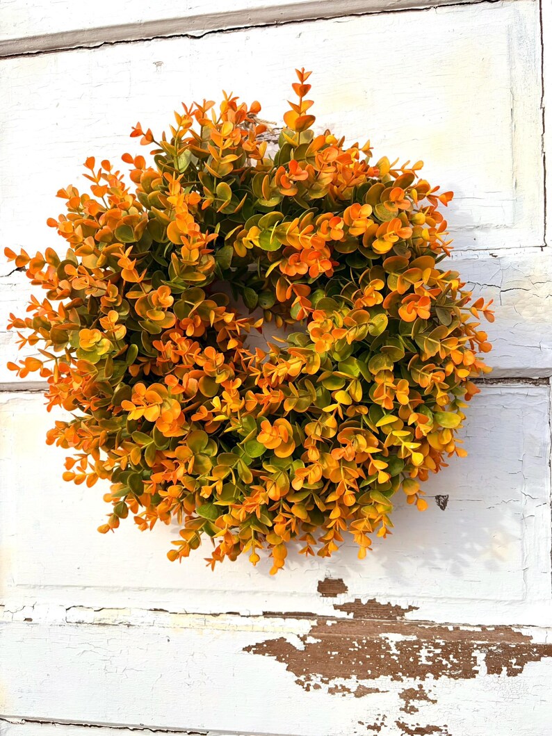 Small Fall Boxwood Wreath | 15" Autumn Front Door Wreath With Orange ...