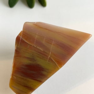 Petrified wood small slab, petrified wood, display rock, unique rock lover gift, fossil rocks