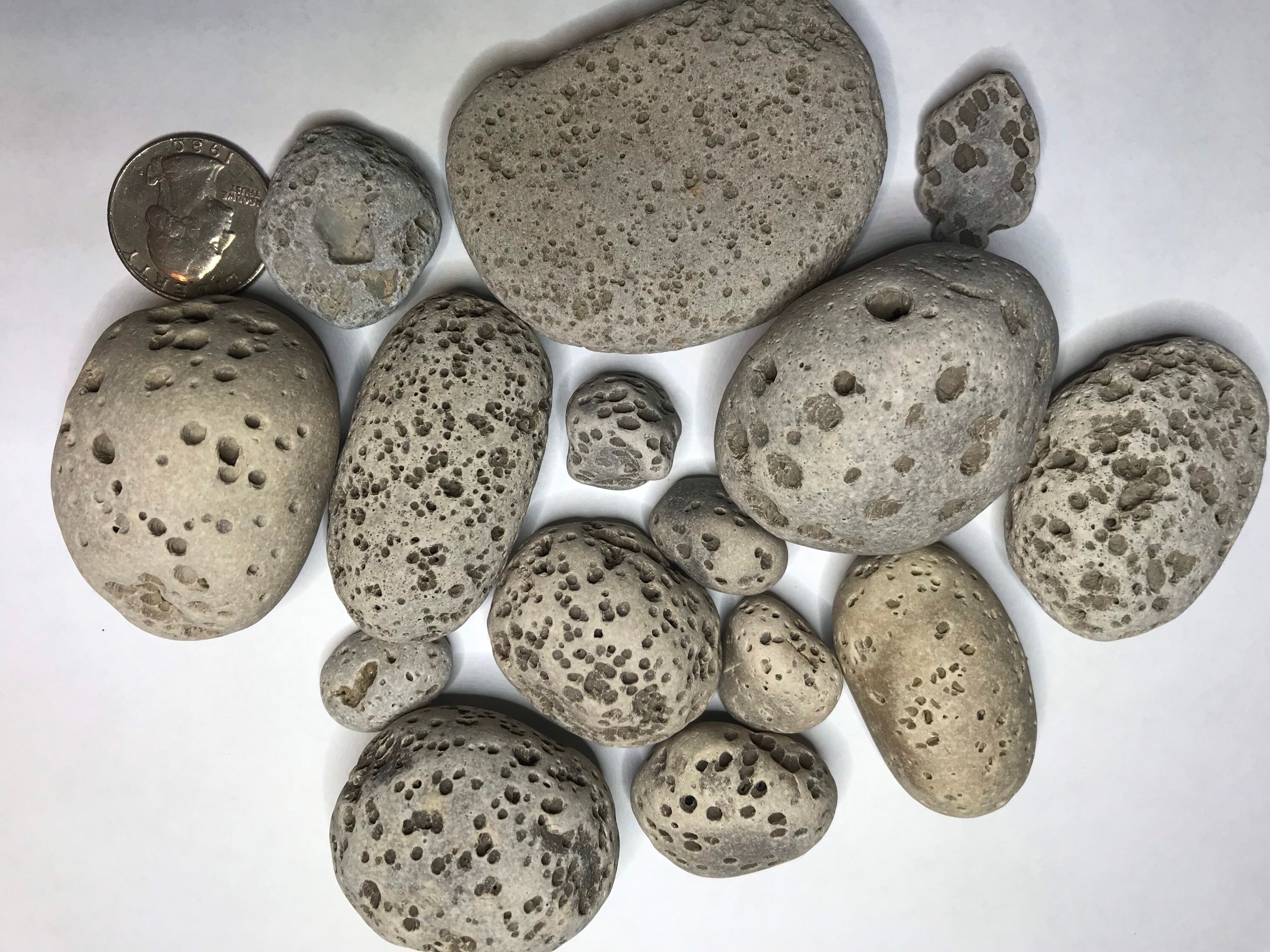 Viscous Rocks Lake Michigan Vesicular Rocks, Porous Display Stones (1lb) - Etsy