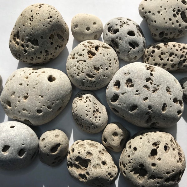 Vesicular Rocks (1lb), Rocks with holes, Lake Michigan rocks