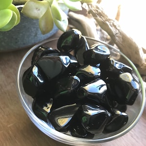 May include: A clear glass bowl filled with polished black obsidian stones. The stones have a glossy, reflective surface. In the background, a small succulent plant in a gray pot and a piece of driftwood are visible.
