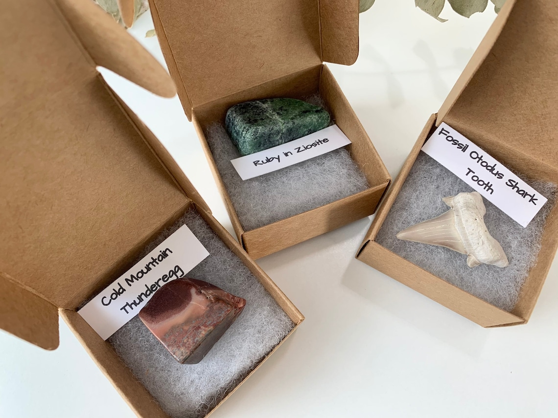 Rocks and Minerals Advent Calendar Geological Advent Etsy