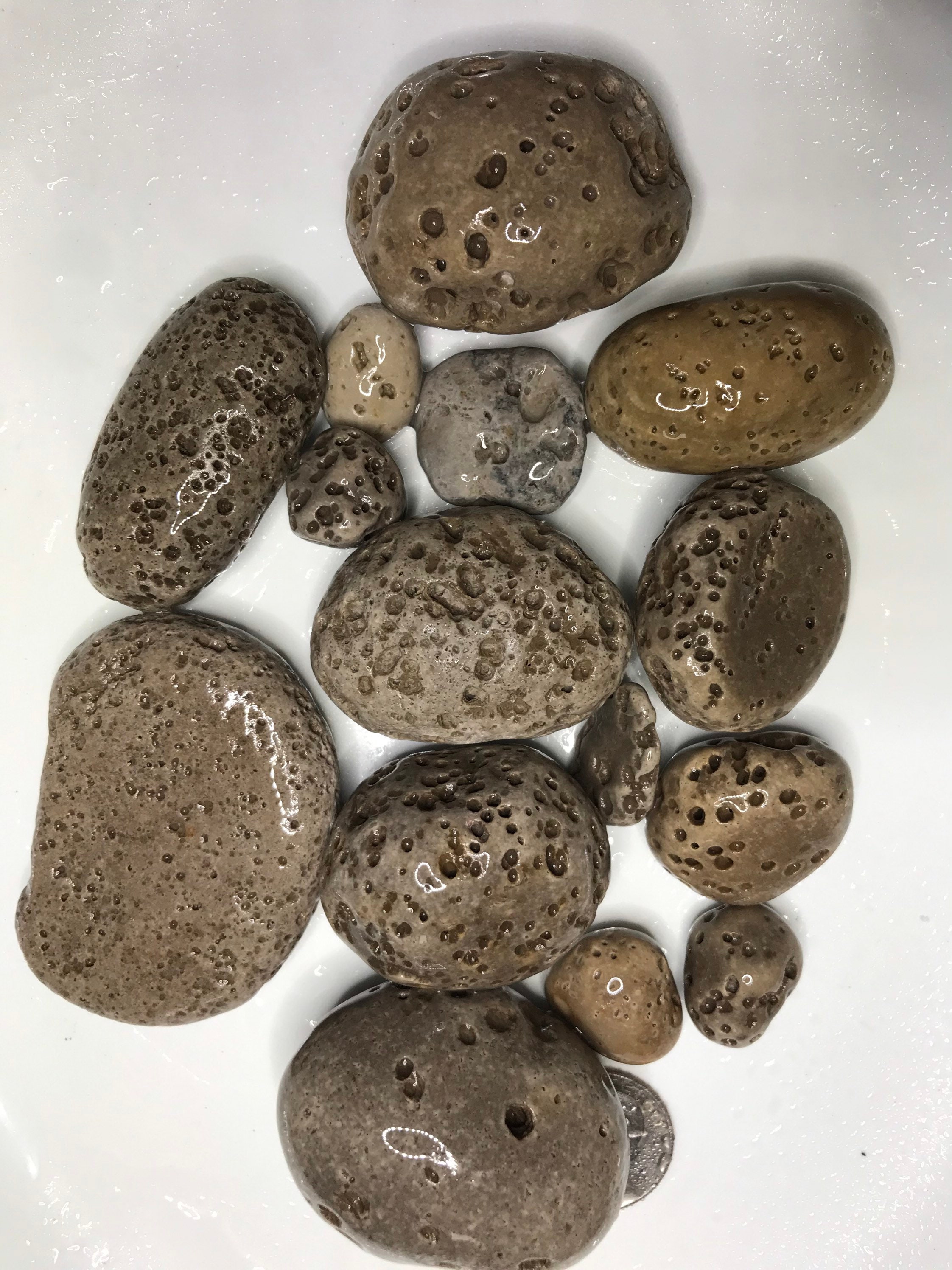 Visicular Rocks Vesicular Rocks 1lb Rocks with holes Lake Michigan rocks - Etsy.de