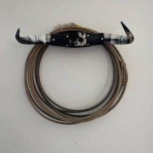 Jefe's Medium "Sencilla" Polished Mounted Horns - Vintage Bull Art - Rustic Cow Decor OG