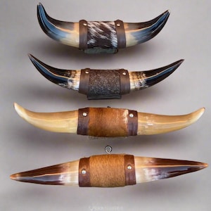 Jefe's Small "Puntilla" Polished Mounted Horns - Vintage Bull Art - Rustic Cow Decor OG