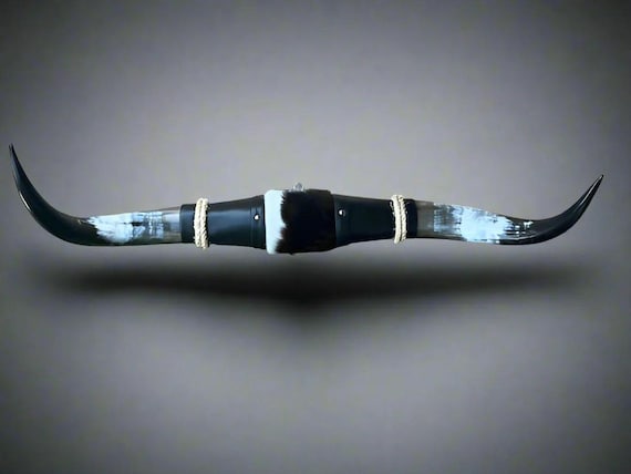 Jefe's X Large “Doble Grande” Steer Horns - Polished Bull Taxidermy Mount -  South Native Cow Longhorn Art - Country Ranch Farm Truck Decor