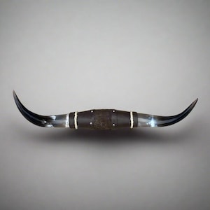 Jefe's Large "Doble" Polished Mounted Horns - Vintage Bull Art - Rustic Cow Decor OG