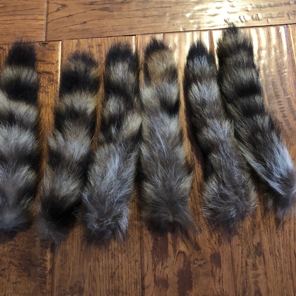 Real raccoon tails fur taxidermy cosplay costume