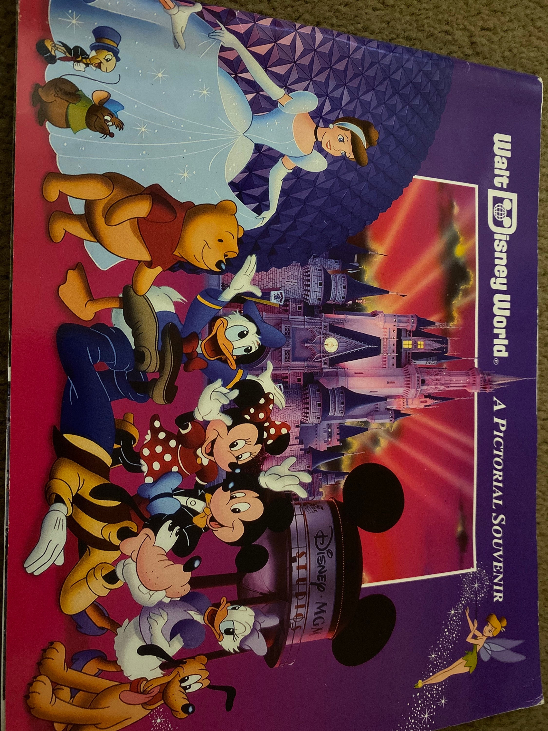 Walt Disney World a Pictorial Souvenir Etsy