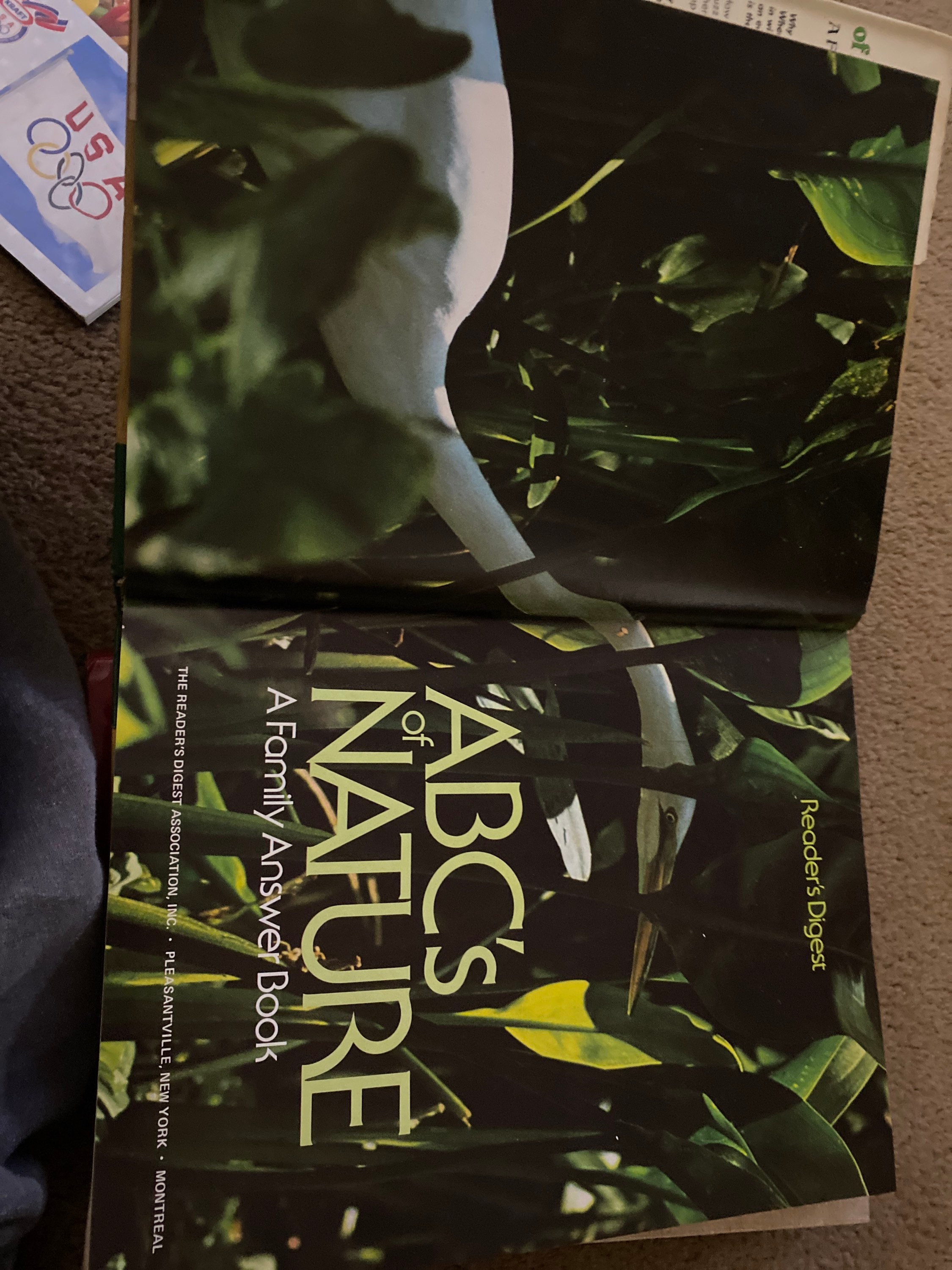 Abc’s of Nature - A Family Answer Book - Etsy