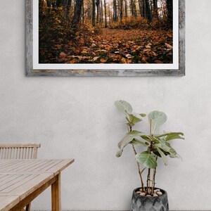 Op de afbeelding: Een ingelijste foto van een bospaadje in de herfst. Het pad is omzoomd met bomen en bedekt met gevallen bladeren. De bladeren zijn een mix van oranje, geel en bruin.