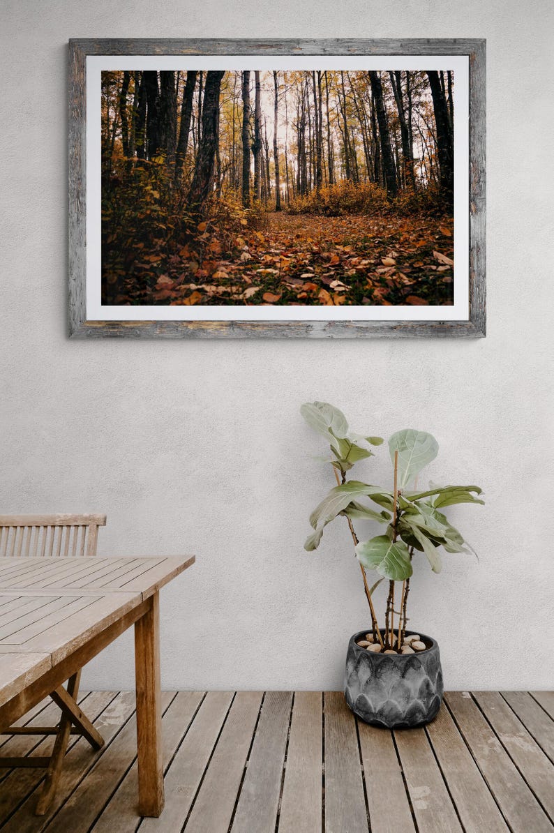 Op de afbeelding: Een ingelijste foto van een bospaadje in de herfst. Het pad is omzoomd met bomen en bedekt met gevallen bladeren. De bladeren zijn een mix van oranje, geel en bruin.