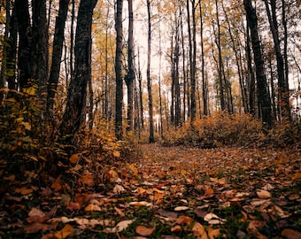 Autunno