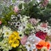 UpStageWreaths