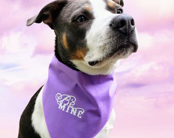 Personalized Dog Bandanas with Collar mothers day gift Dog Mom Bandana gift Dog Mom Gift Dog Collar with Bandana
