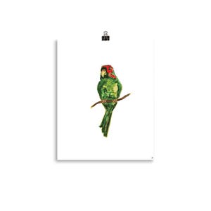 The Parrot - Fine Watercolor Art Print | Watercolor Art Print |Tropical Bird & Bird Illustration