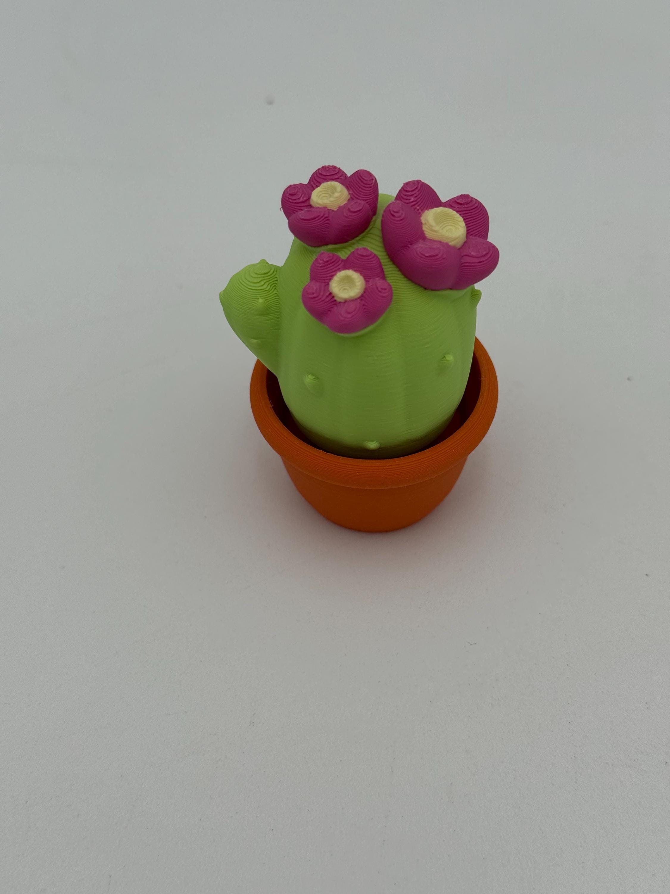 Sukkulenten Kaktus Clicker Fidget - Etsy.de