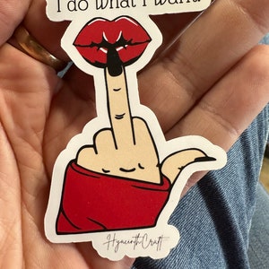 I do what I want Laptop Sticker, Bumper Sticker or Water Bottle Decal