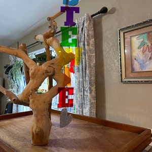 Custom Acrylic Name Bird Toy: Medium Parrot Enrichment