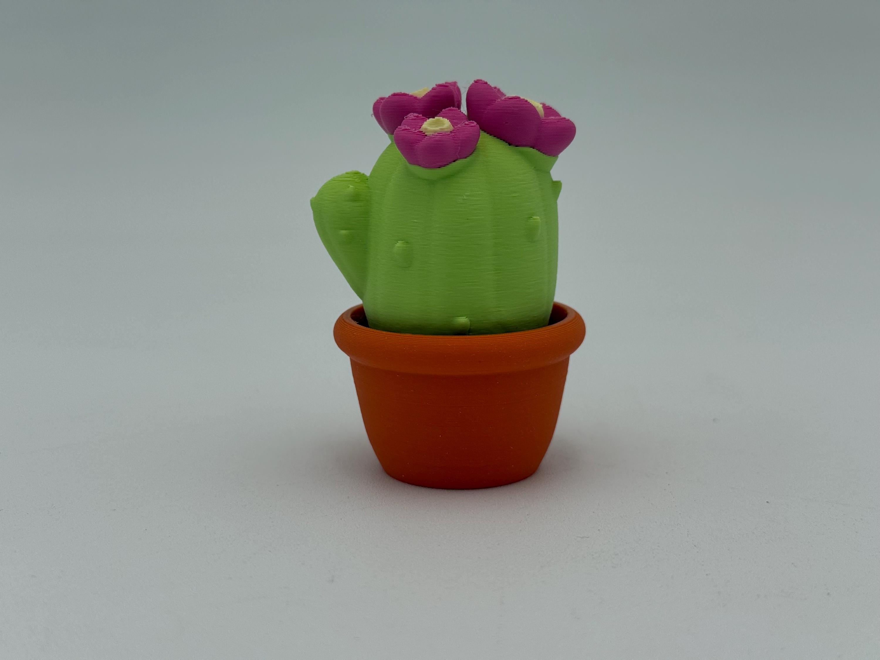 Succulent Cactus Clicker Fidget - Etsy