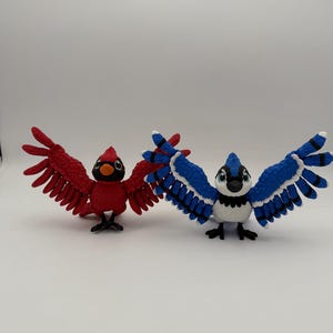 Articulated Cardinal or Blue Jay