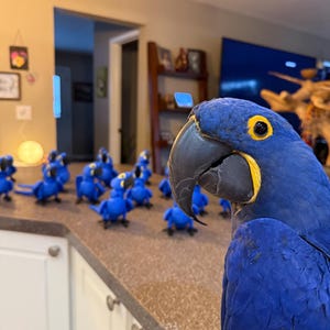 Hyacinth Macaw Articulated Fidget Figurine
