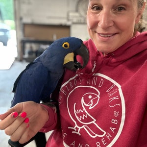 Birds and Beaks Logo Hoodie