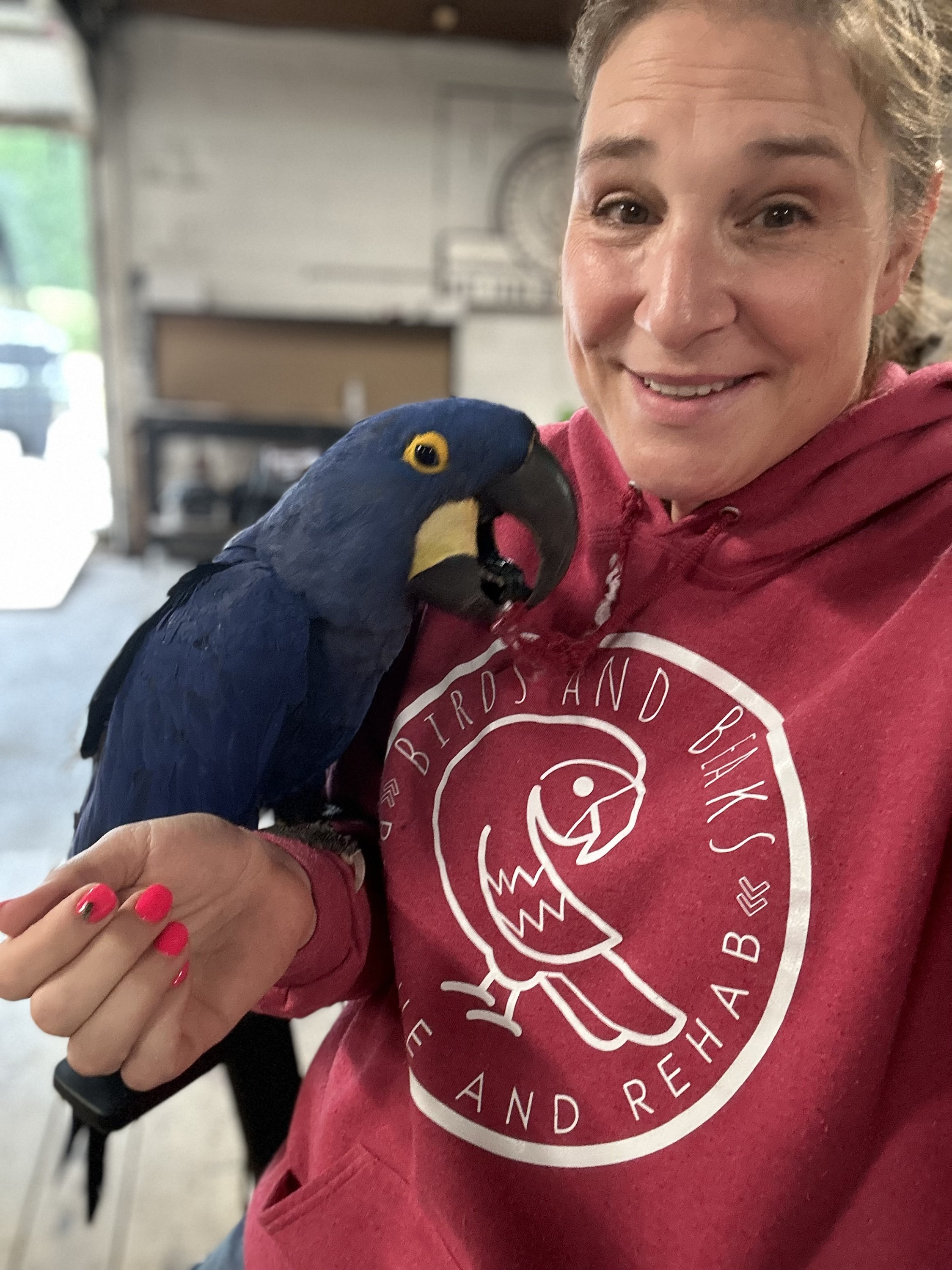 Birds and Beaks Logo Hoodie